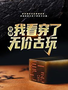 觉醒！我看穿了无价古玩叶枫张可欣，觉醒！我看穿了无价古玩在线无弹窗阅读