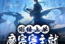 完结版《刚接上单，魔宗宗主就让我弃暗投明》章节目录在线阅读-牛皮文学