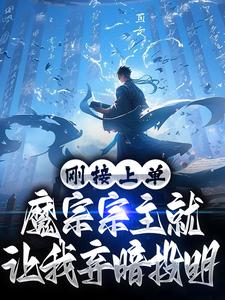 完结版《刚接上单，魔宗宗主就让我弃暗投明》章节目录在线阅读