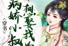 完结版《穿书：病娇小叔子想娶我为妻》章节阅读-牛皮文学