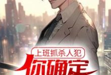 完结版《上班抓杀人犯，你确定他是交警？》免费阅读-牛皮文学