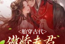 完结版《胎穿古代：傲娇夫君竟是恋爱脑》章节目录在线阅读-牛皮文学