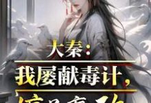 完结版《大秦：我屡献毒计，惊呆嬴政》免费阅读-牛皮文学