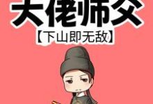 完结版《我有99个大佬师父，下山即无敌》章节阅读-牛皮文学