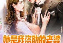 完结版《她是我资助的老婆，谁敢忽悠？》免费阅读-牛皮文学