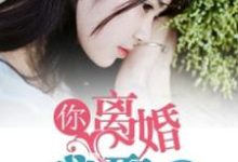 完结版《你离婚，我娶你》章节阅读-牛皮文学