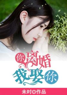 完结版《你离婚，我娶你》章节阅读