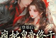 完结版《登基后，疯批皇帝终于娶到白月光》章节目录在线阅读-牛皮文学