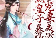 完结版《庶女崛起！腹黑皇子暴躁宠妻美滋滋》章节阅读-牛皮文学