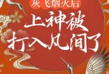 完结版《灰飞烟灭后，上神被打入凡间了》章节阅读-牛皮文学