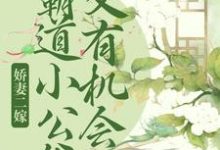 完结版《娇妻二嫁：霸道小公爷又有机会啦》章节目录在线阅读-牛皮文学