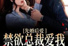 完结版《先婚后爱：禁欲总裁爱我到无法自拔》章节阅读-牛皮文学