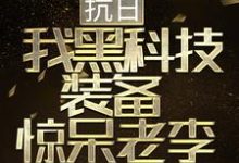 完结版《抗日：我黑科技装备惊呆老李》章节目录在线阅读-牛皮文学