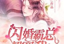 小说《闪婚霸总超宠我》在线章节阅读-牛皮文学