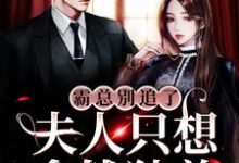 完结版《霸总别追了，夫人只想拿钱独美》章节阅读-牛皮文学