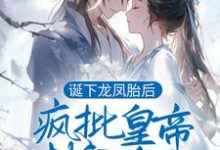 完结版《诞下龙凤胎后，疯批皇帝封我为后》章节阅读-牛皮文学