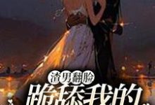 完结版《渣男翻脸，跪舔我的时候忘了？》章节目录在线阅读-牛皮文学