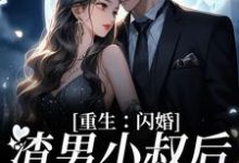 重生：闪婚渣男小叔后，她赢麻了这本小说完结了吗？免费查看最新章节-牛皮文学