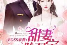 《BOSS来袭：甜妻一胎双宝》全集免费在线阅读（苏沫沫厉司夜）-牛皮文学