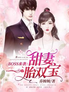 《BOSS来袭：甜妻一胎双宝》全集免费在线阅读（苏沫沫厉司夜）