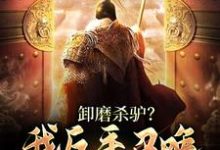 《卸磨杀驴？我反手召唤百万大军造反》小说大结局免费试读 许长青小说-牛皮文学