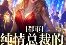 完结版《都市：纯情总裁的自我攻略》章节阅读-牛皮文学