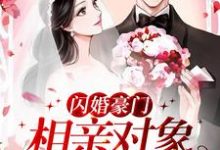 小说《闪婚豪门：相亲对象是大佬》章节免费阅读-牛皮文学