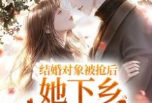 小说《结婚对象被抢后，她下乡闪婚双胎了》在线章节阅读-牛皮文学