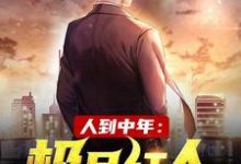 完结版《人到中年：极品红人》在线免费阅读-牛皮文学