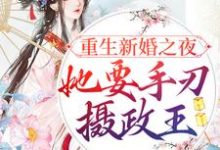 宋音书萧御辞小说《重生新婚之夜，她要手刃摄政王》在线阅读-牛皮文学