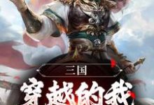 三国：穿越的我，成曹操主谋？免费阅读，三国：穿越的我，成曹操主谋？章节目录-牛皮文学