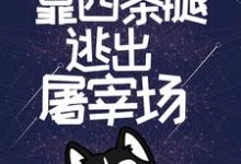 完结版《开局无限蓝天，靠四条腿逃出屠宰场》章节阅读-牛皮文学