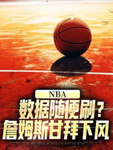 《NBA：数据随便刷？詹姆斯甘拜下风》小说林远大姚章节章节免费在线阅读