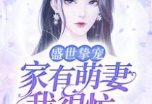 完结版《盛世挚宠：家有萌妻我很忙》免费阅读-牛皮文学