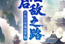 叶沐小说叫什么（开局召唤魔祖罗睺，开启无敌之路完整版免费阅读）-牛皮文学