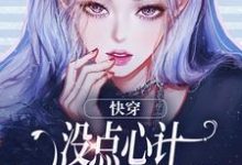 沈初墨小说免费阅读完整版-牛皮文学