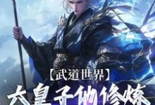 《武道世界：六皇子他修炼修成逆子啦》小说章节列表免费试读，顾长安小说在线阅读-牛皮文学