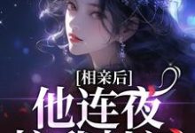 《相亲后，他连夜拉我扯证》小说章节在线试读，《相亲后，他连夜拉我扯证》最新章节目录-牛皮文学