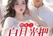 完结版《婚礼上，白月光把男友截胡了》在线免费阅读-牛皮文学