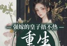 《强嫁的皇子捂不热，重生她不要了》沈安安小说免费阅读完整版-牛皮文学