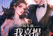 完结版《一场车祸，我喜提妻女一双？》免费阅读-牛皮文学