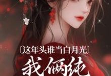 完结版《这年头谁当白月光，我俩纯纯走剧情》章节目录在线阅读-牛皮文学