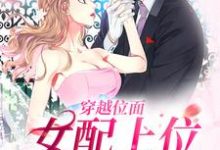 完结版《穿越位面，女配上位众男沦陷》免费阅读-牛皮文学