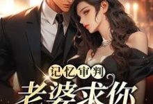 林冉傅行简完整版《记忆审判：老婆求你看我一眼》小说免费阅读-牛皮文学