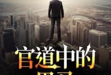 完结版《救到命中贵人后，官职一路高升》章节阅读-牛皮文学