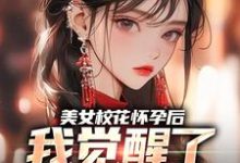 小说《美女校花怀孕后，我觉醒了奶爸系统》章节免费阅读-牛皮文学