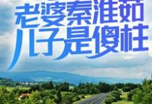 完结版《情满四合院：老婆秦淮茹，儿子是傻柱》章节阅读-牛皮文学