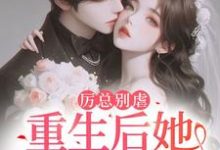 《报告总裁！夫人她重生后立马退婚了》小说免费阅读完整版-牛皮文学