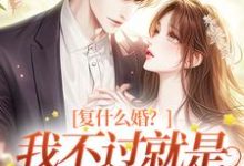 完整版《复什么婚？我不过就是个备胎嘛！》小说免费阅读-牛皮文学