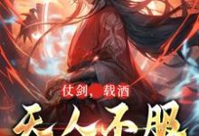 小说完整版《仗剑，载酒，天人不服先斩翻》免费阅读-牛皮文学